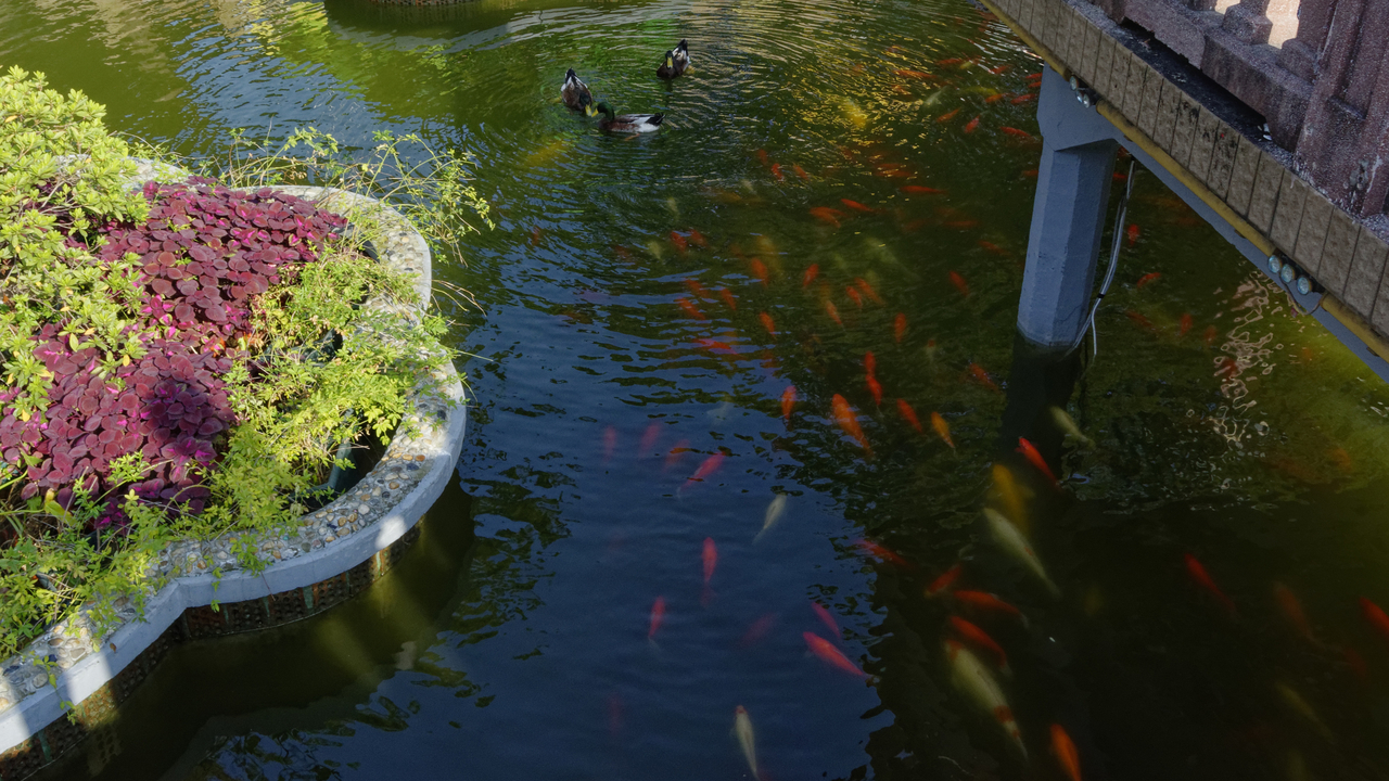 20161112 091741•Shanghai•Shanghai•China